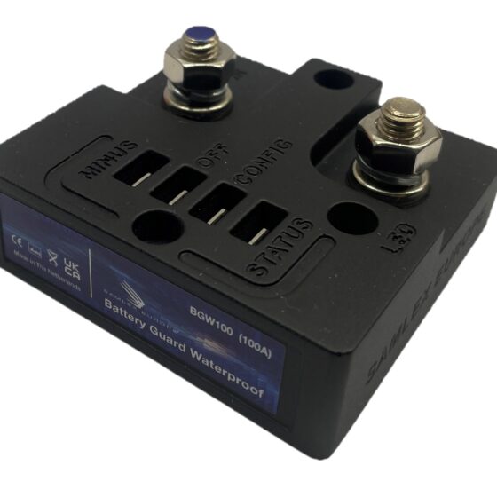 BGW 100 - Afbeelding 1